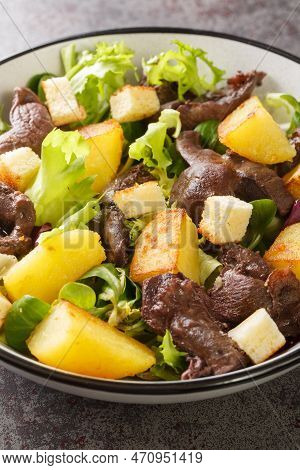 Warm Salad With Gizzards, Potatoes, Lettuce, Onions And Croutons Close-up In A Plate On The Table. V