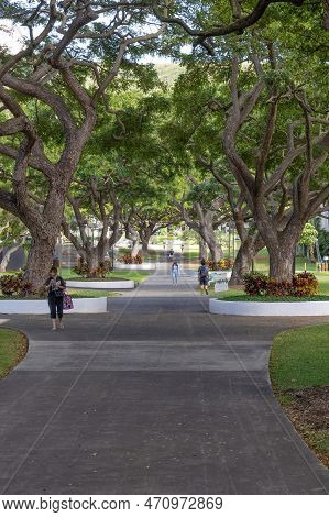 Manoa, Hi - February 3 2023: Students Walking Under A Canopy Of Trees On The University Of Hawaii Ca