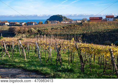 Hilly Txakoli Grape Vineyards, Making Of Txakoli Or Chacolí Slightly Sparkling, Very Dry White Wine 