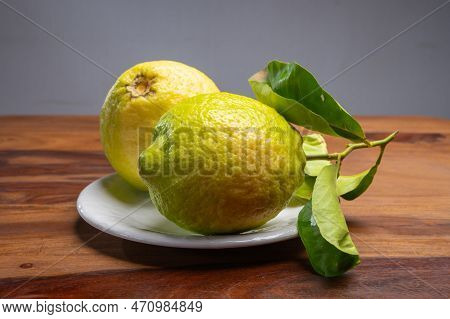Lemon Citron Cedrate Or Citrus Medica, Large Fragrant Citrus Fruit With Thick Rind