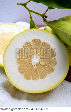 Lemon Citron Cedrate Or Citrus Medica, Large Fragrant Citrus Fruit With Thick Rind
