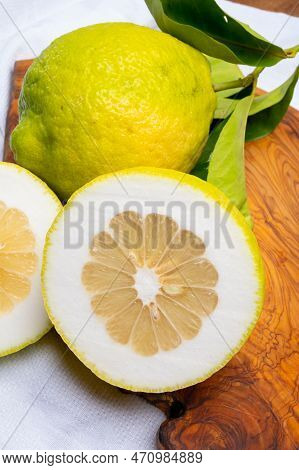 Lemon Citron Cedrate Or Citrus Medica, Large Fragrant Citrus Fruit With Thick Rind