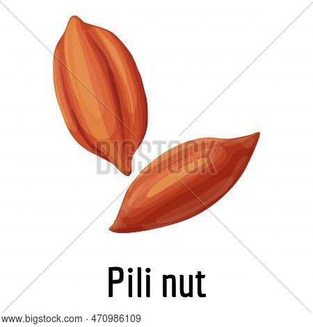 Pili Nut Icon. Cartoon Of Pili Nut Icon For Web Design Isolated On White Background