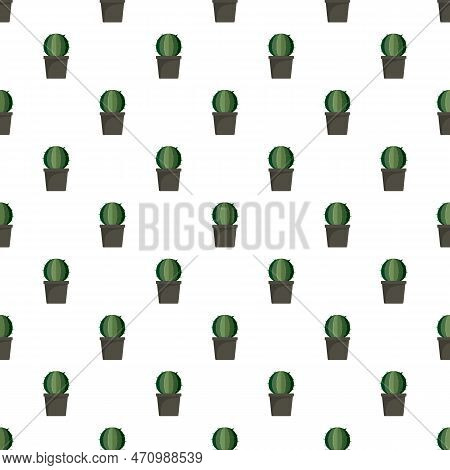 Sphera Cactus Pot Pattern Seamless Repeat For Any Web Design