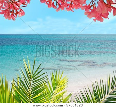 Palm, Flowers And Sand