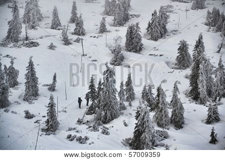Winter country