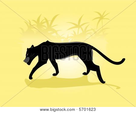 Pantera
