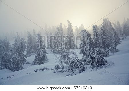 Sunset in a snowy country