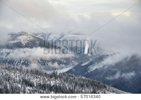 Winter country
