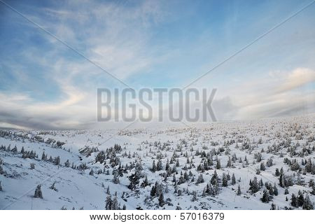 Winter country