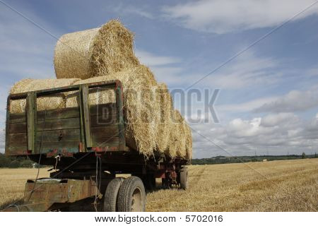 balle di paglia