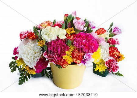 Colorful Flower On White Background