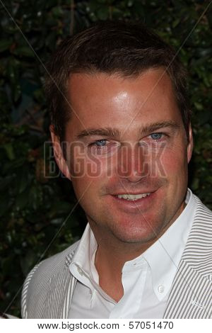 Chris O'Donnell at a Benefit Dinner For The Natural Resources Defense Council's Ocean Initiative hosted by Chanel, Privaye Location, Malibu, CA. 06-04-11