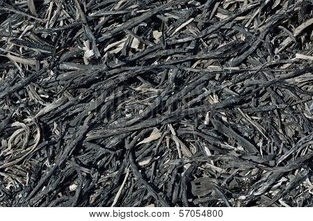 Ash After Fire