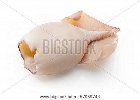 Fresh Calamary