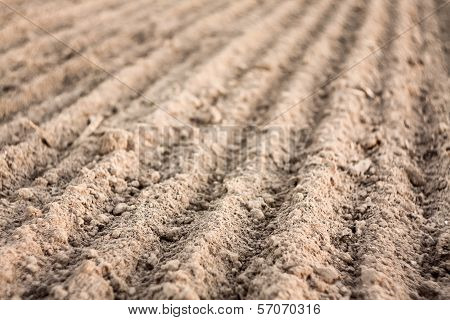 Furrows In A Field After Plowing It