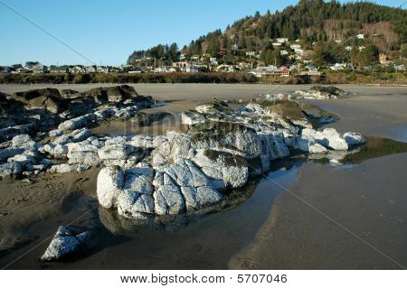 Ocean skály