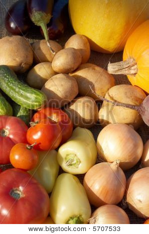 Variedad de verduras frescas