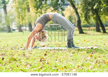 Yoga-Urdhva Dhanurasana/Upward bow pose