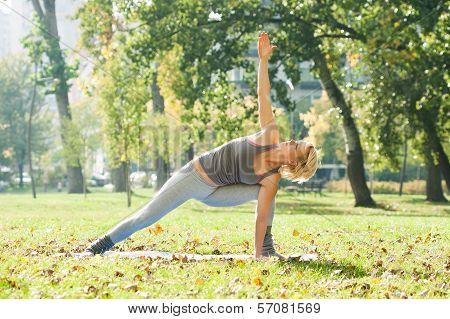 Yoga-Virabhadrasana /Rotated warrior pose