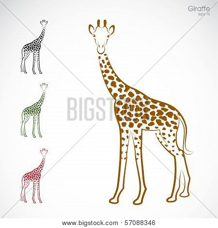 Vector Image Of An Giraffe
