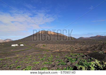 Lanzarote