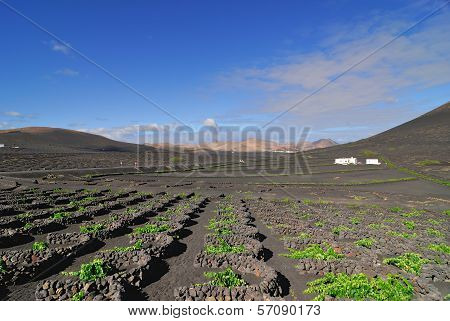 Lanzarote