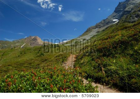 Percorso di montagna