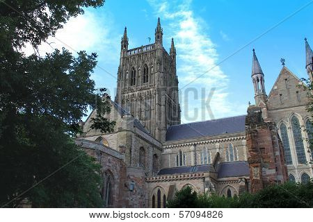 Worcester Cathedral tower and south transept between bushes