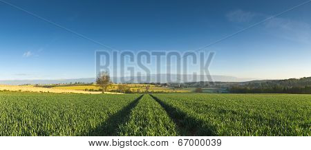 Idyllic Rural Landscape, Cotswolds Uk