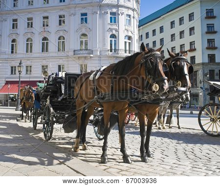 Spanish Riding School, Vienna