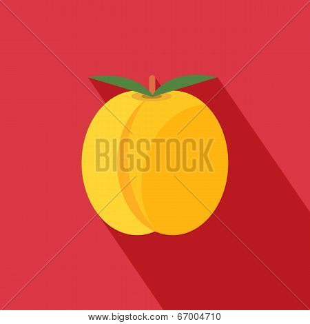Apricot Icon