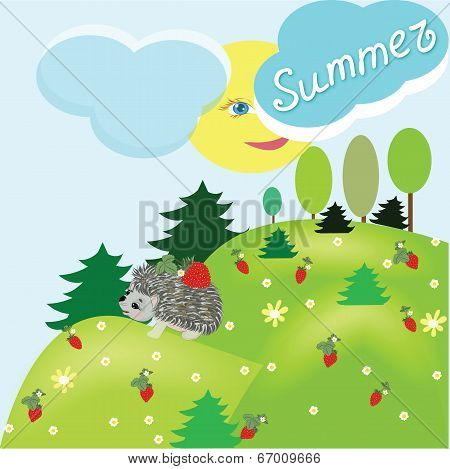 Summer Fantasy Landscape With Hedgehog