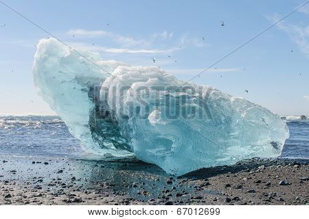 Iceberg
