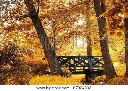 Autumn Scenery.