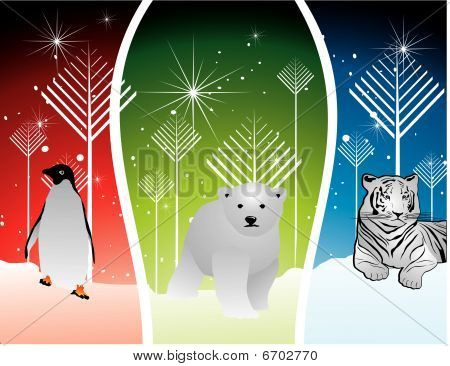 Artic zvířata vektorové ilustrace