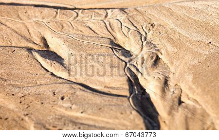 Sand Surface With The Relief Formed By Water Currents