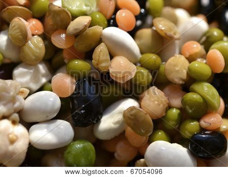 Grain Beans, Lentils, Chickpeas