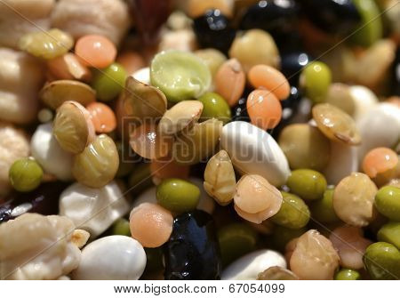 Grain Beans, Lentils, Chickpeas