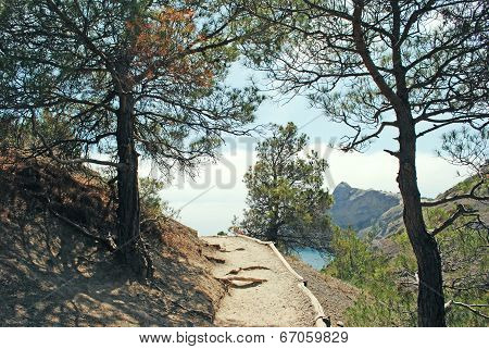 A footstep