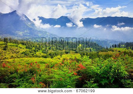 Village And Cliff At Bromo Volcano In Tengger Semeru, Java, Indonesia