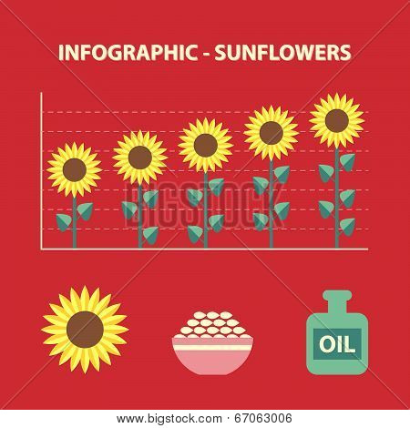 Sunflower Infographic