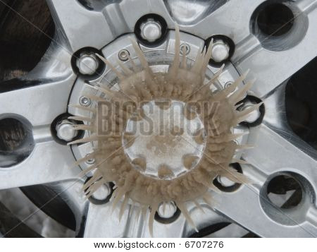 Don Bit Hub