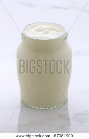 Plain French Style Yogurt