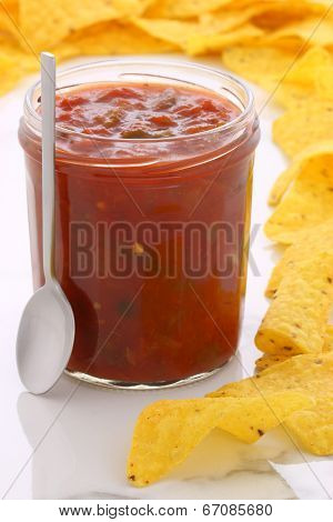 Delicious Hot Salsa Dip And Nachos