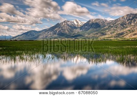 Carson Valley Reflection