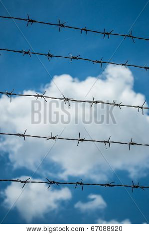 Barbed Wire