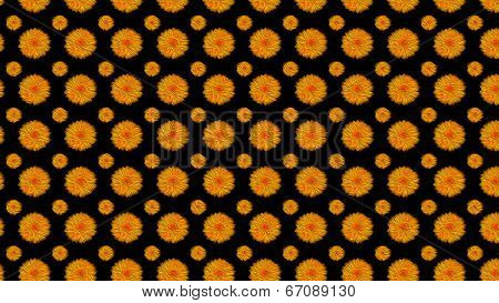 Orange Flowers On Black
