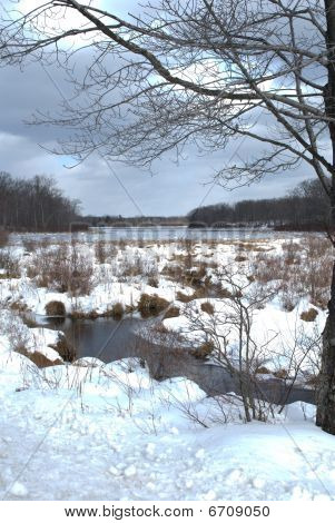 Immagine invernale 655