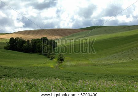 Tuscany Landscape